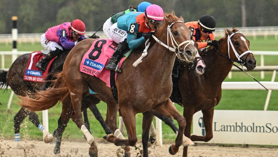 Triple Crown, 2026 Kentucky Derby, NTRA 3-year-old power rankings, The Puma, Potente